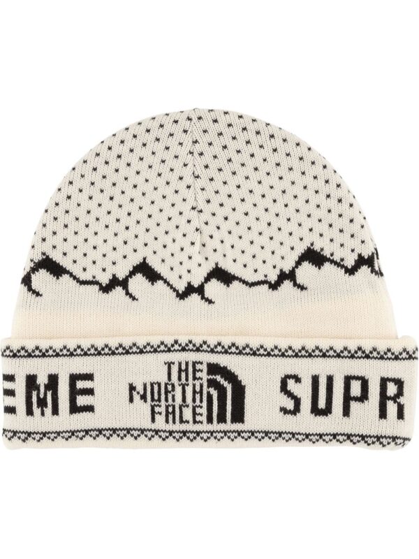 Supreme TNF Fold Beanie