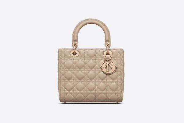 Dior Medium Lady Dior Bag