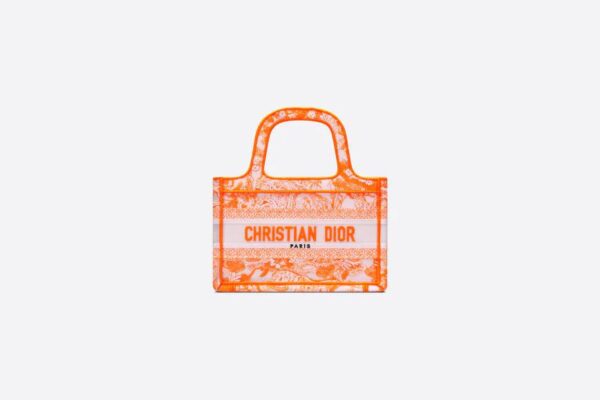Dior Mini Dior Book Tote