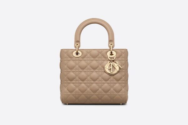 Dior Medium Lady Dior Bag