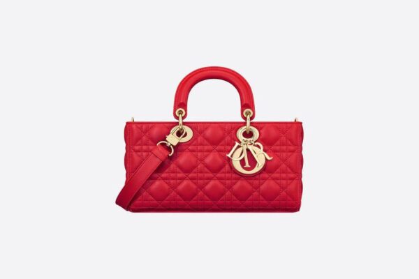 Dior Medium Lady D-Joy Bag