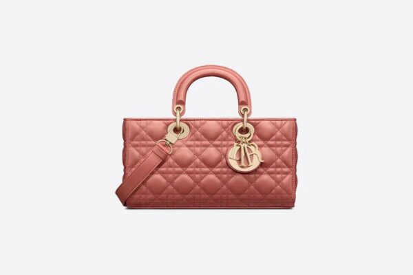 Dior Medium Lady D-Joy Bag