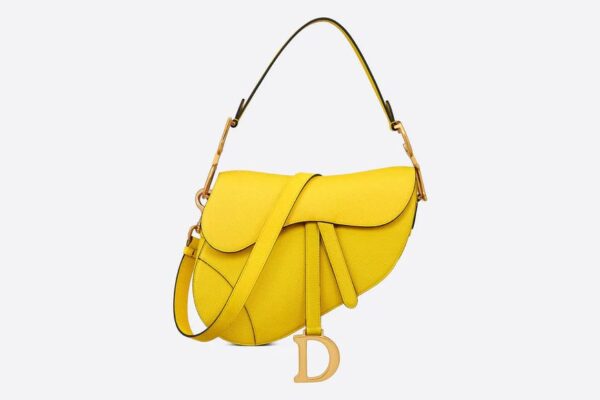 Dior Saddle Bag with Strap