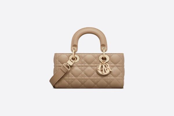 Dior Small Lady D-Joy Bag