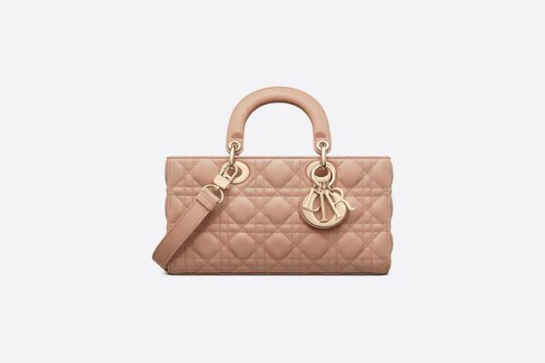 Dior Medium Lady D-Joy Bag