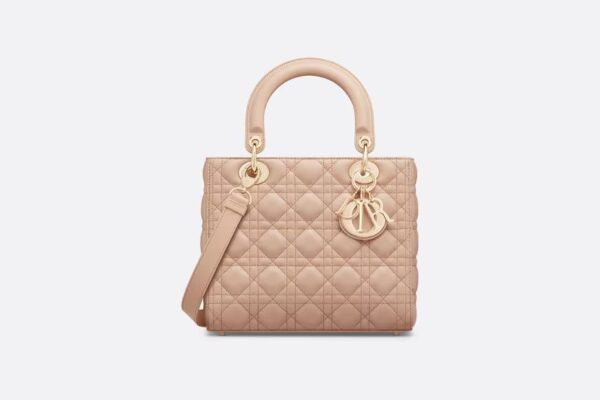 Dior Medium Lady Dior Bag