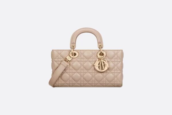 Dior Medium Lady D-Joy Bag