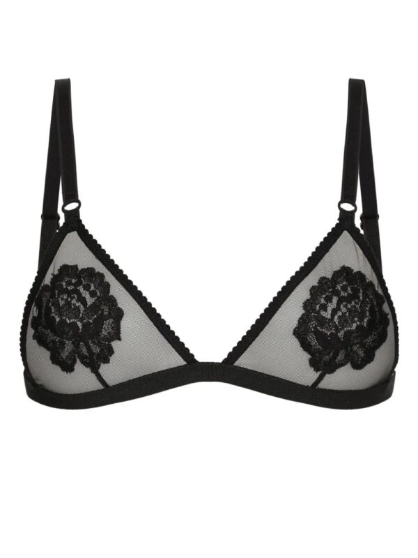 Dolce & Gabbana  floral-motif triangle bra