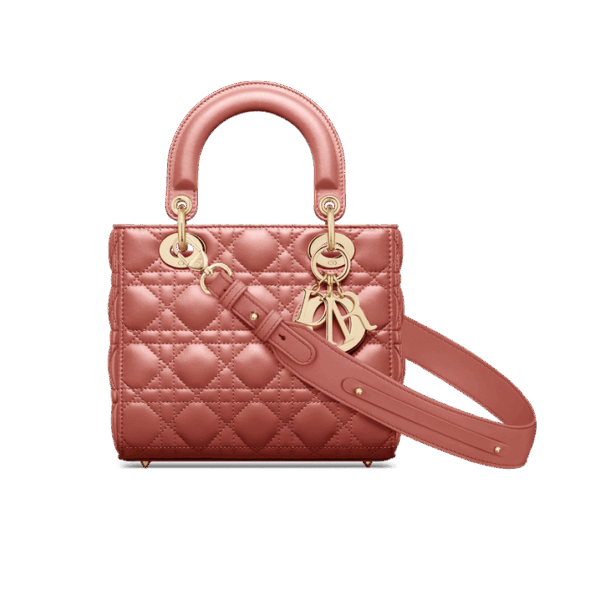 Dior Small Lady Dior My ABCDior Bag