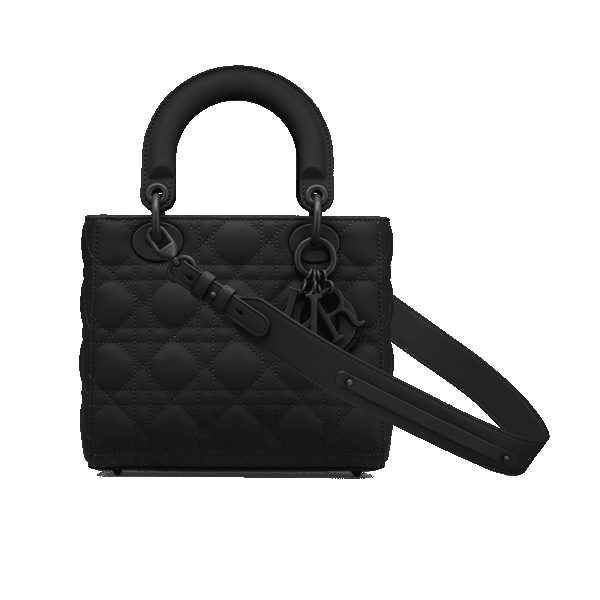 Dior Small Lady Dior My ABCDior Bag