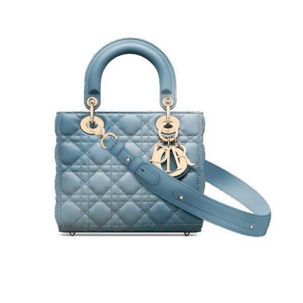 Dior Small Lady Dior My ABCDior Bag