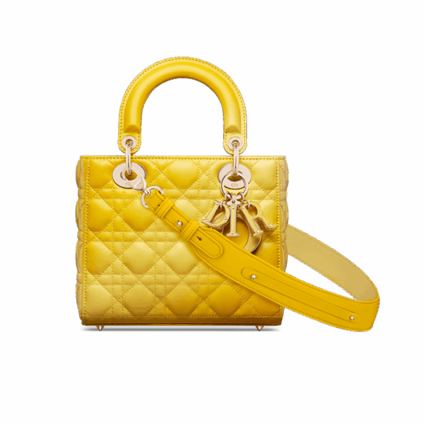 Dior Small Lady Dior My ABCDior Bag