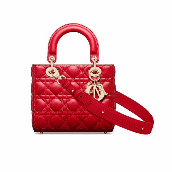 Dior Small Lady Dior My ABCDior Bag