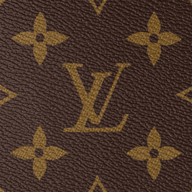 Louis Vuitton Bumbag - Image 6