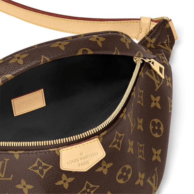 Louis Vuitton Bumbag - Image 4