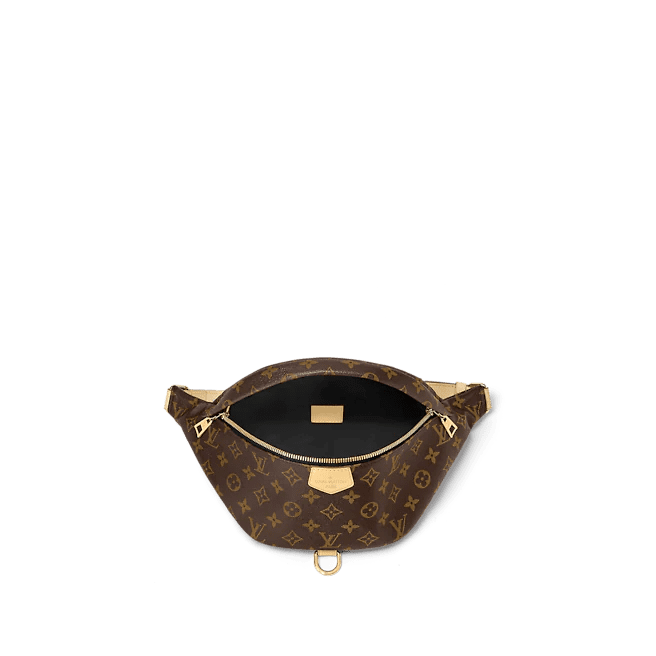 Louis Vuitton Bumbag - Image 5