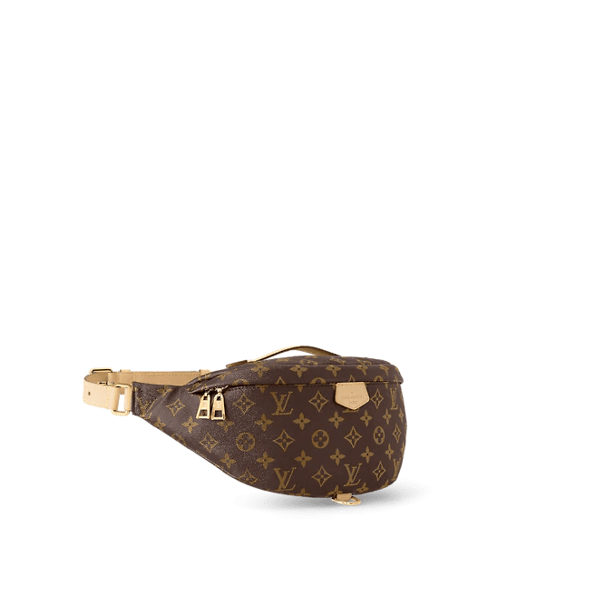 Louis Vuitton Bumbag - Image 3