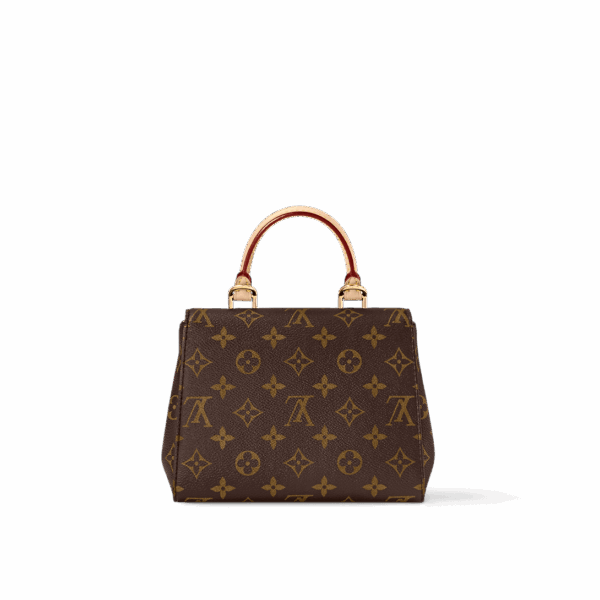 Louis Vuitton Cluny Mini - Image 2