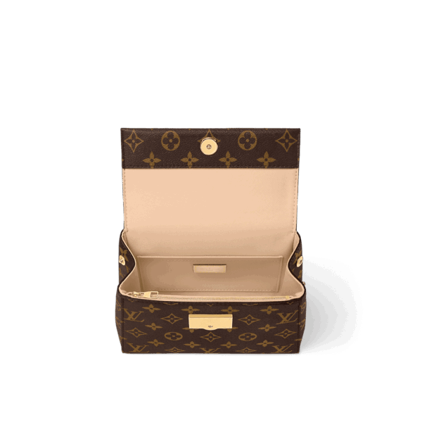 Louis Vuitton Cluny Mini - Image 4
