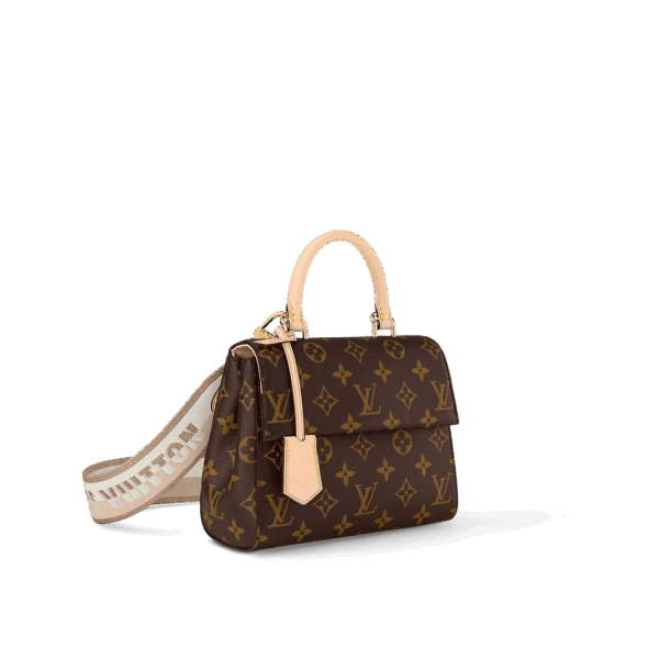 Louis Vuitton Cluny Mini - Image 3