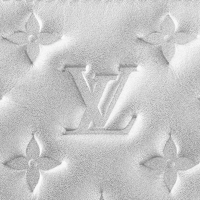 Louis Vuitton Coussin BB - Image 5