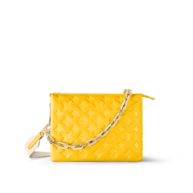 Louis Vuitton Coussin PM