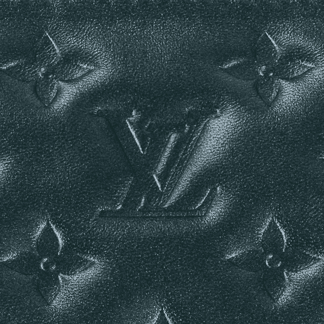 Louis Vuitton Coussin PM - Image 5