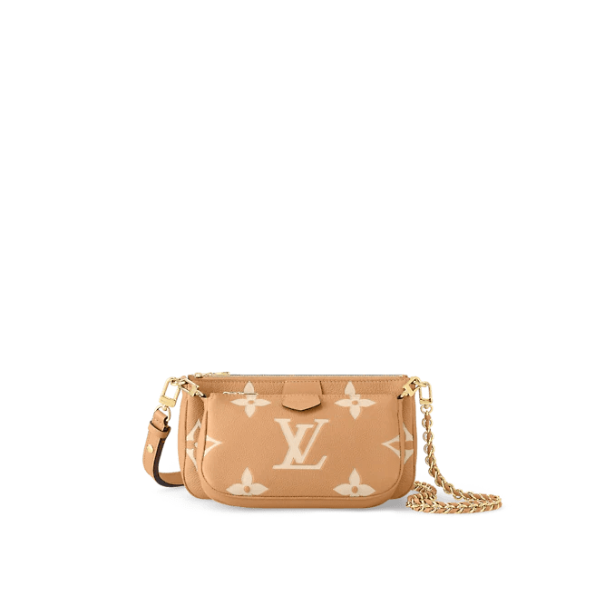 Louis Vuitton Multi Pochette Accessoires