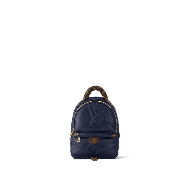 Louis Vuitton Palm Springs Mini