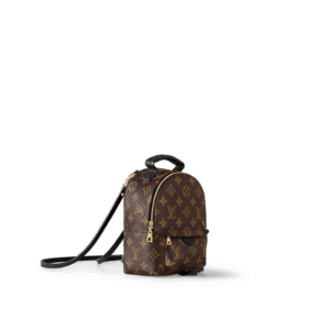 Louis Vuitton Palm Springs Mini