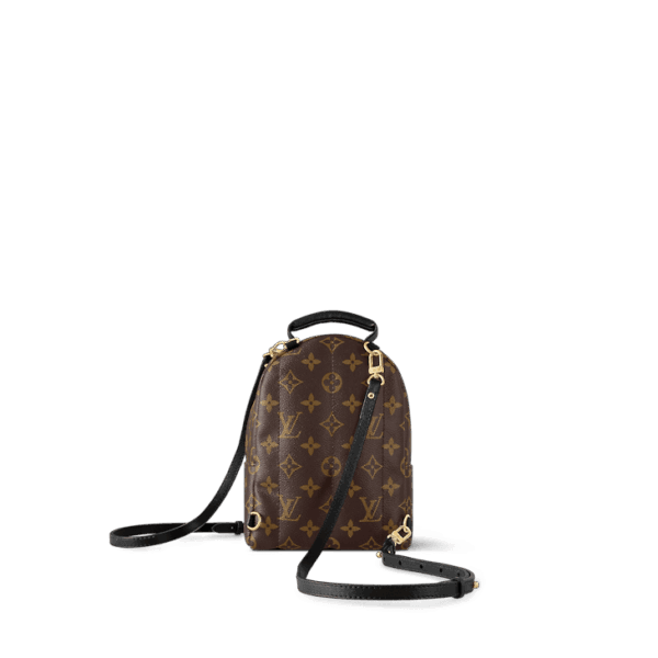 Louis Vuitton Palm Springs MM - Image 4