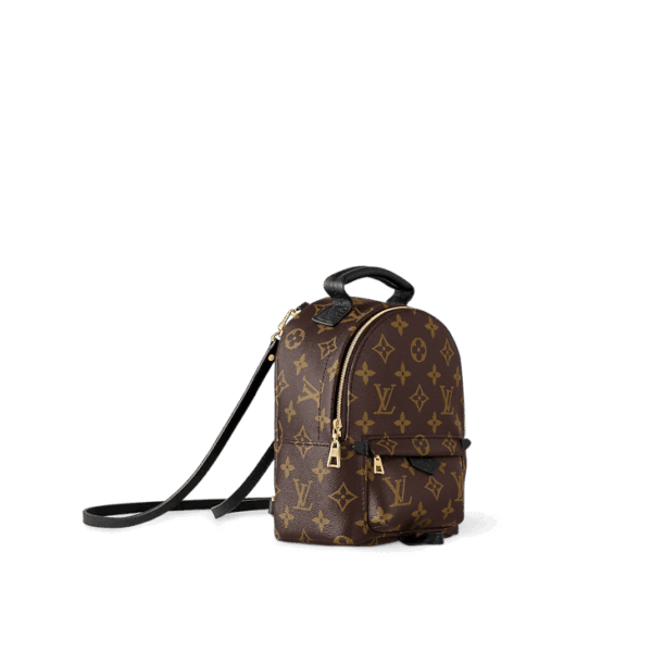 Louis Vuitton Palm Springs MM - Image 2