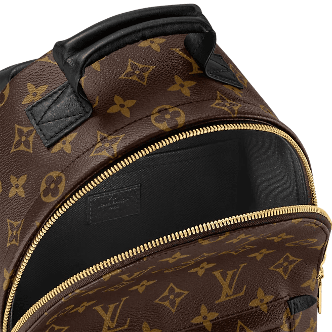 Louis Vuitton Palm Springs PM - Image 6