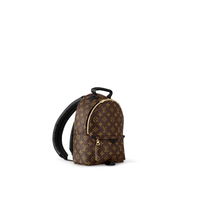 Louis Vuitton Palm Springs PM - Image 5
