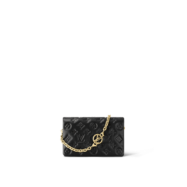 Louis Vuitton Pochette Coussin