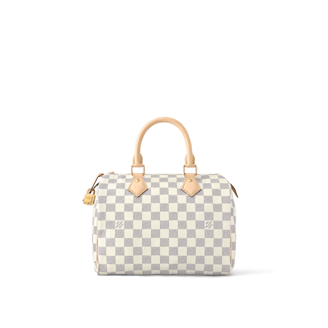Louis Vuitton Speedy 25 - Image 4
