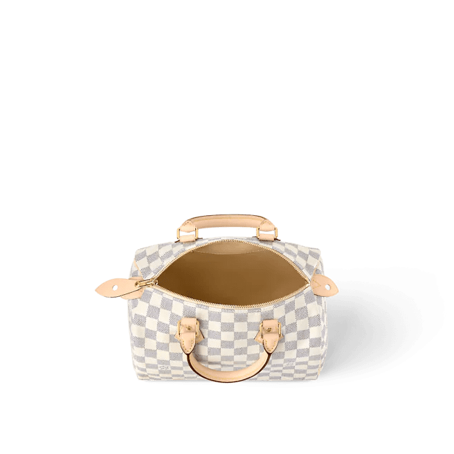 Louis Vuitton Speedy 25 - Image 5