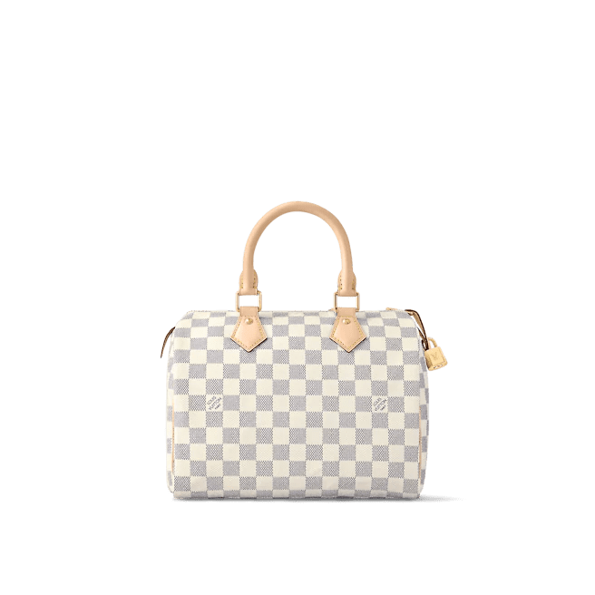 Louis Vuitton Speedy 25