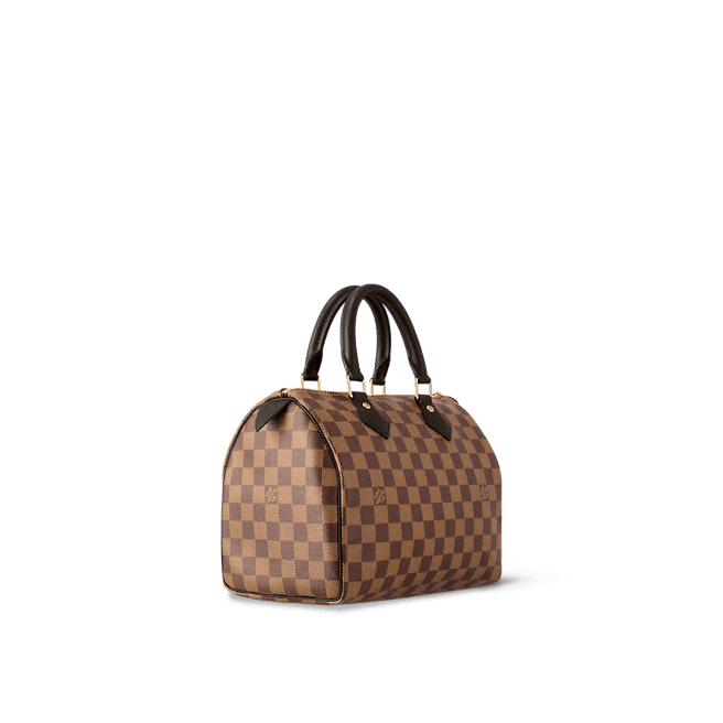 Louis Vuitton Speedy 25 - Image 3