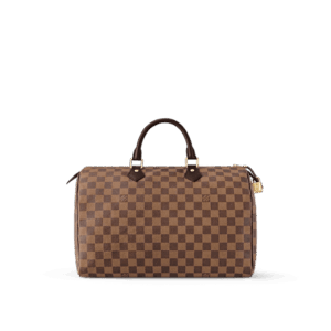 Louis Vuitton Speedy 35