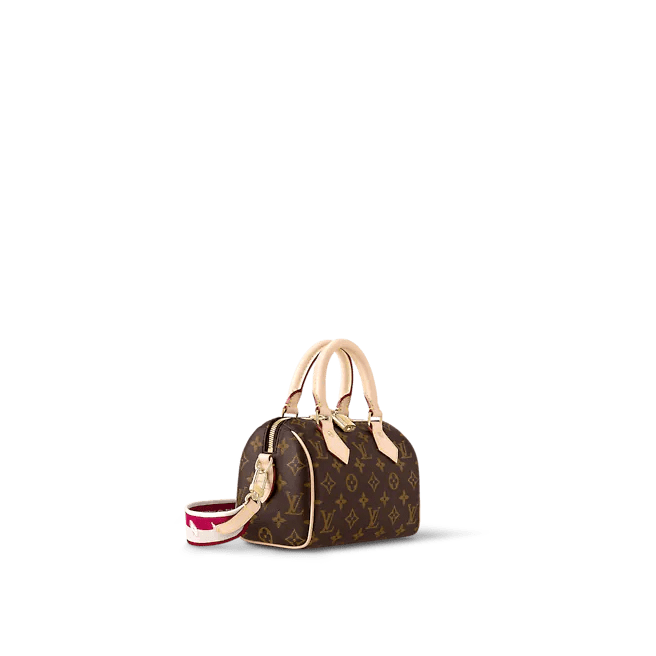 Louis Vuitton Speedy Bandoulière 20
