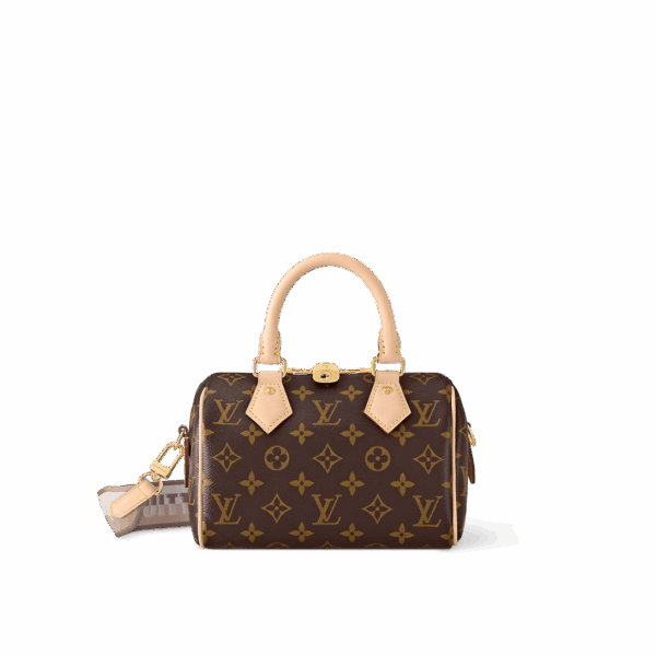 Louis Vuitton Speedy Bandoliered 20