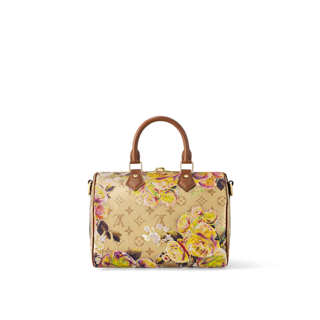 Louis Vuitton Speedy bandoulière 25