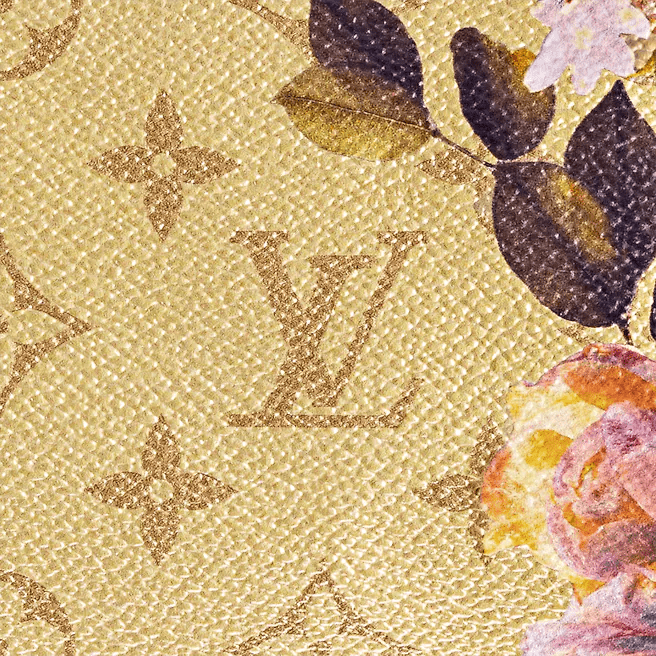 Louis Vuitton Speedy bandoulière 25 - Image 3