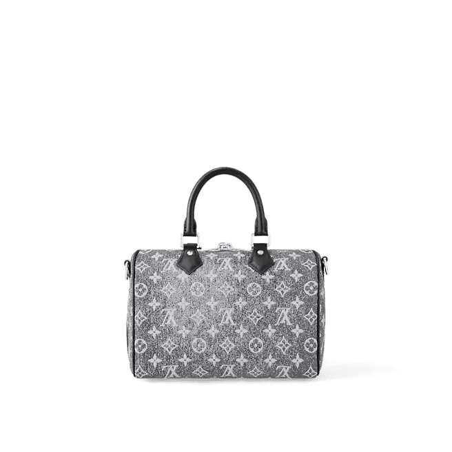 Louis Vuitton Speedy Bandoulière 25 - Image 3