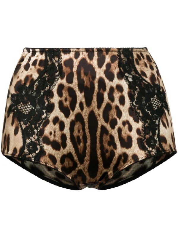 Dolce & Gabbana  leopard-print high-waisted briefs