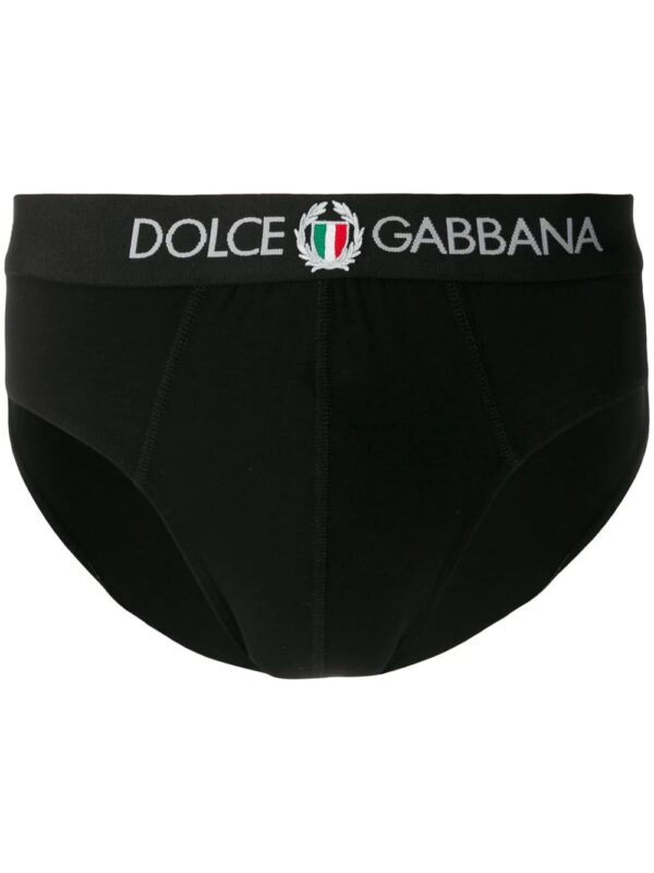 Dolce & Gabbana  logo embroidered briefs
