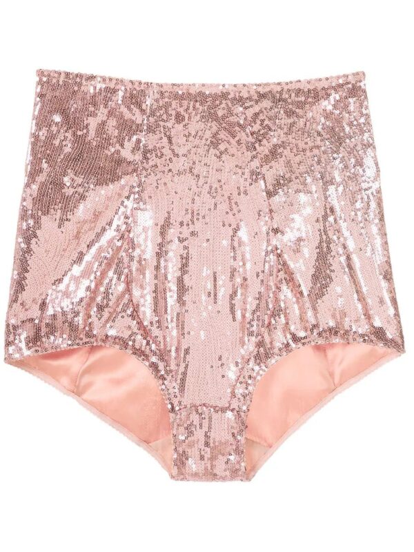 Dolce & Gabbana  high-waisted sequin-embellished briefs