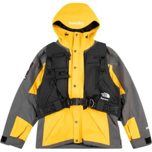 Supreme  x The North Face RTG jacket