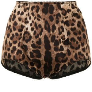 Dolce & Gabbana  leopard-print high-waisted briefs